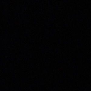 Meet your Posher, Shea